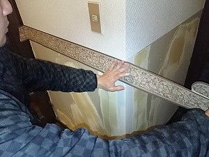 s-10997633_854252751321944_5216567770396939575_n